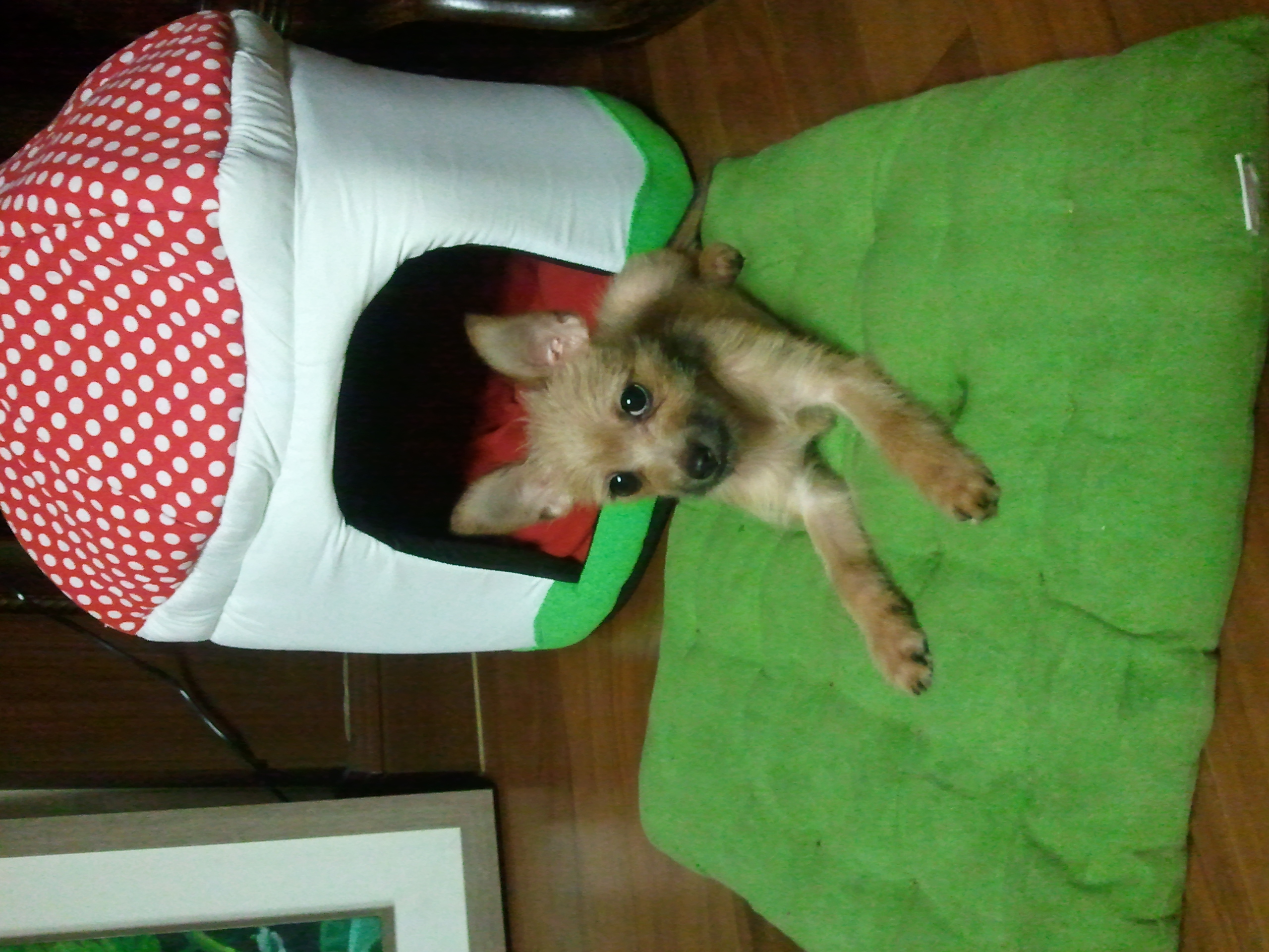 아롬이가 컸어오...