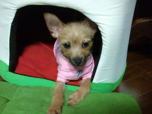 아롬이가 컸어오...