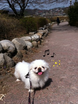 난이의 주말산책