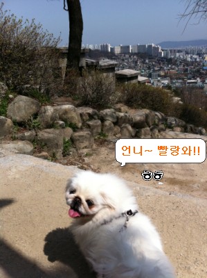 난이의 주말산책