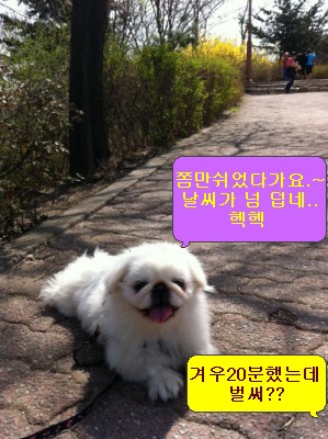 난이의 주말산책