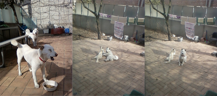 선희와 선달의 하루