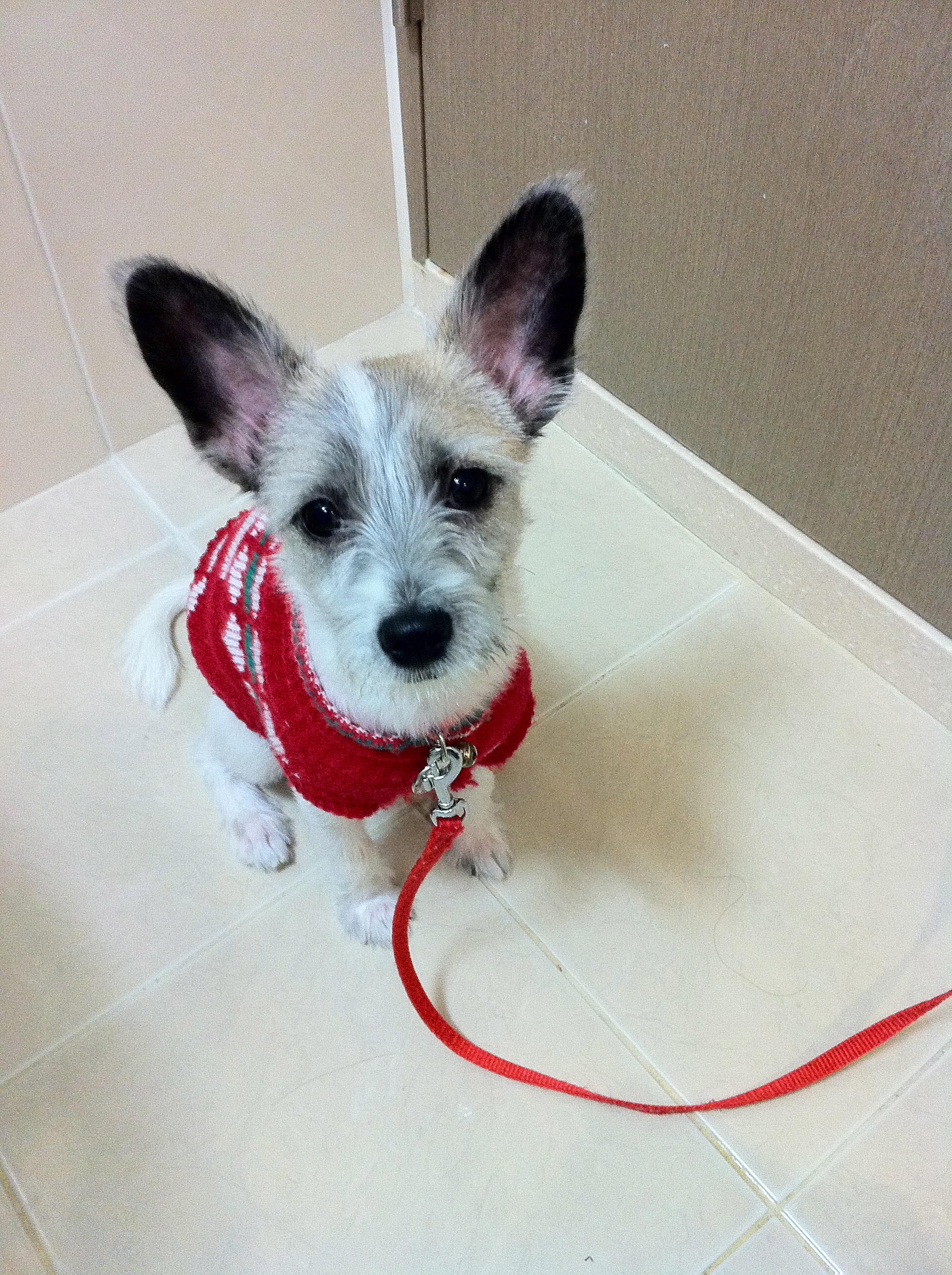 사랑이 잘살고 있습니다~ 엽기 or 귀요미 사진들