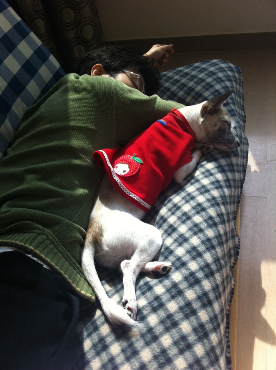 사랑이 잘살고 있습니다~ 엽기 or 귀요미 사진들