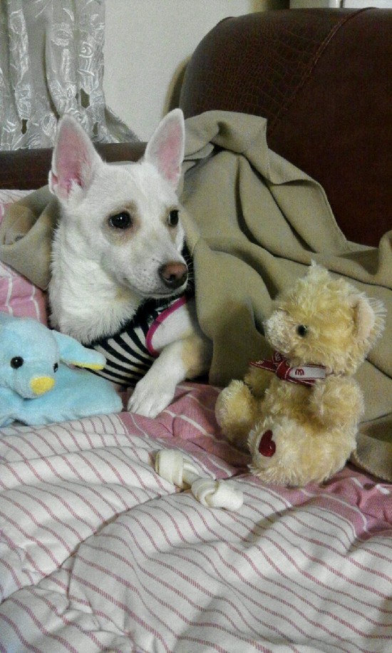 달이가 변했어요..ㅎㅎ