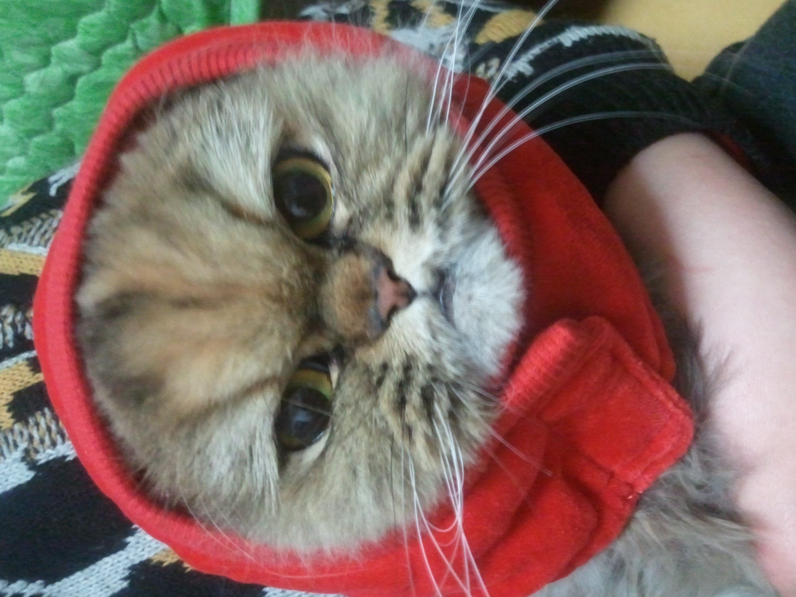 안녕하세요 라엘이 근황입니다