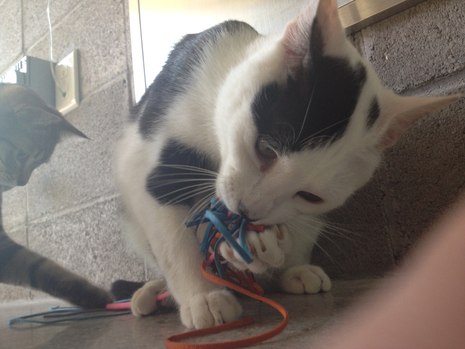 잘지내고 있어요