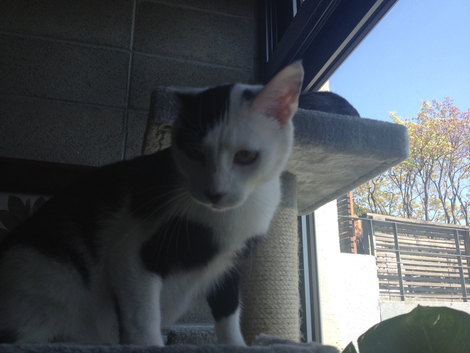 잘지내고 있어요