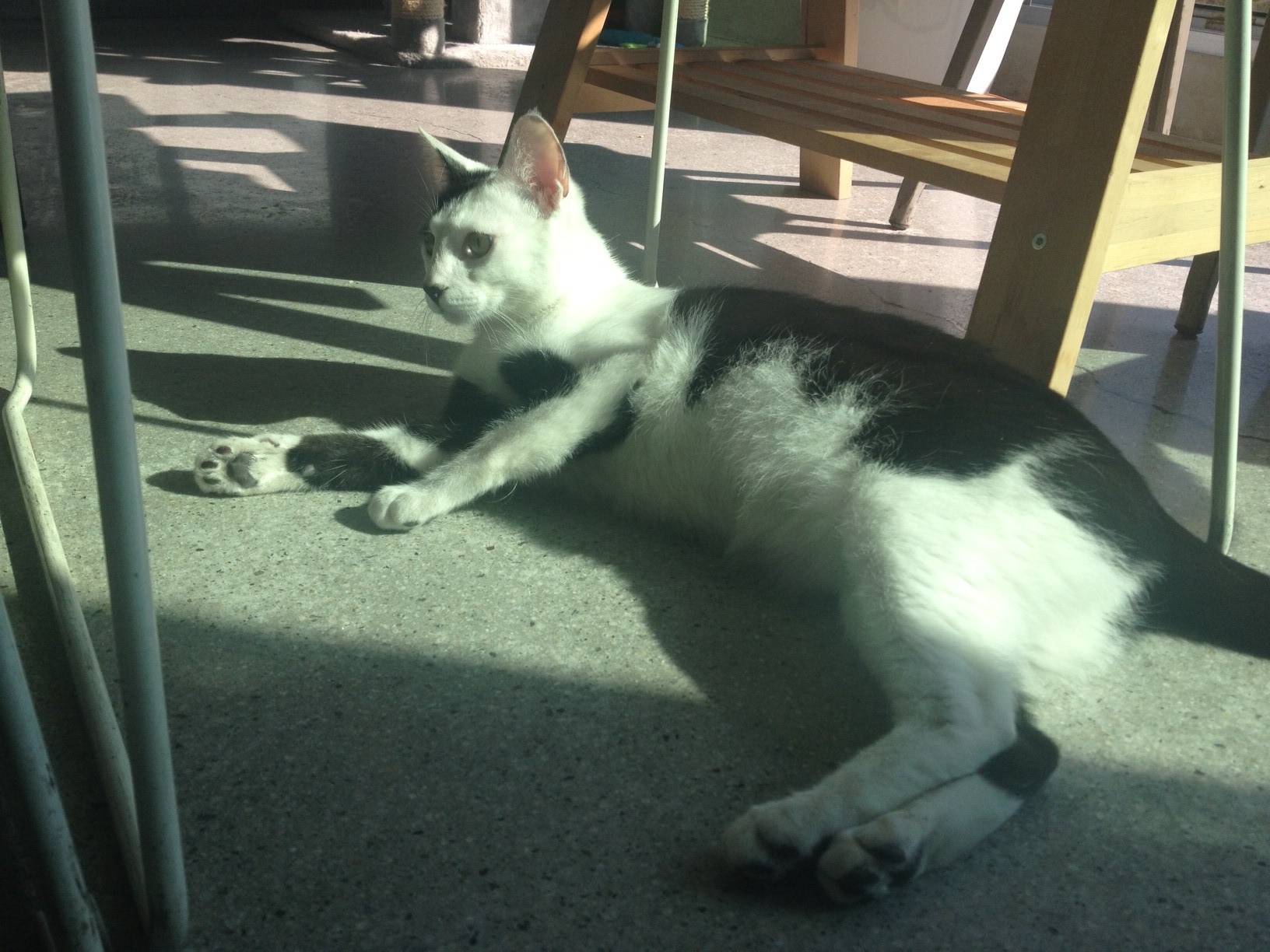 잘지내고 있어요