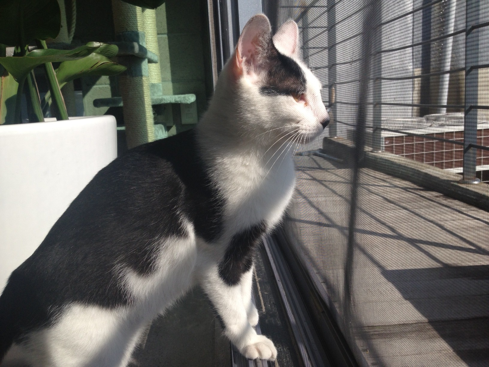 잘지내고 있어요