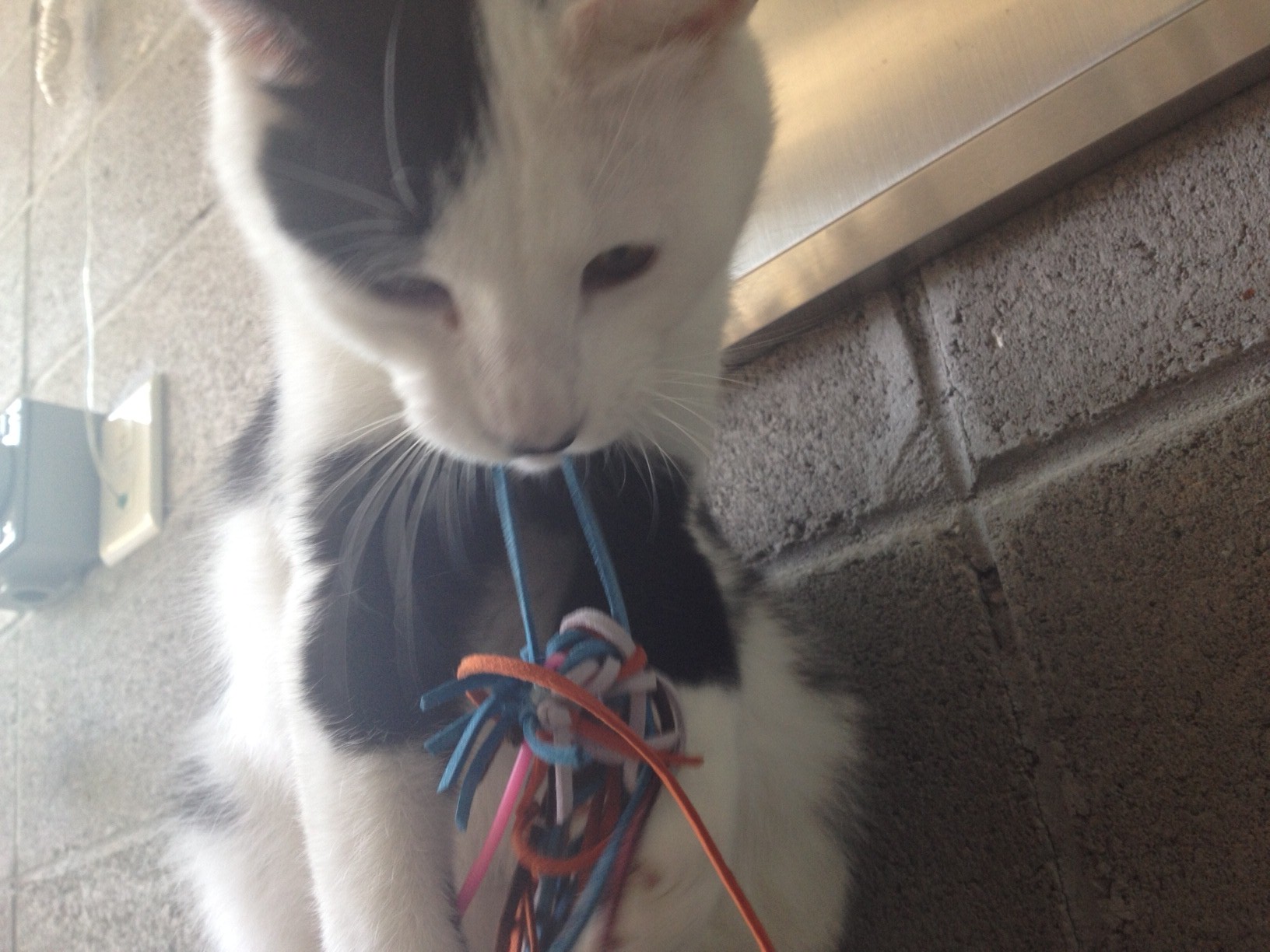 잘지내고 있어요