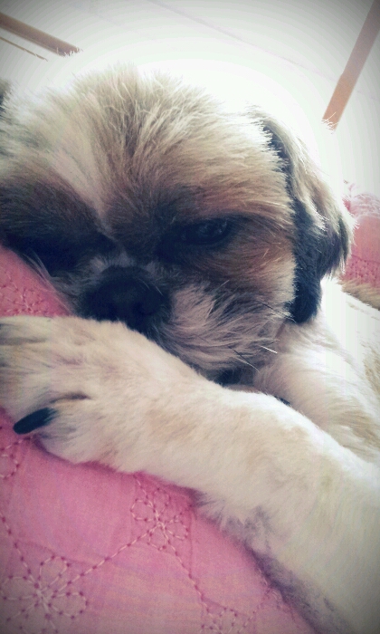 봉구 오랫만에 소식올려요~