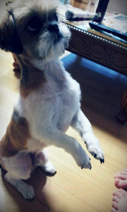 봉구 오랫만에 소식올려요~