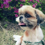 봉구 오랫만에 소식올려요~