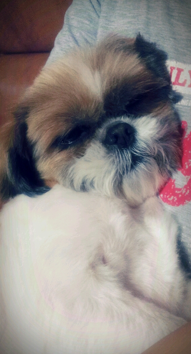 봉구 오랫만에 소식올려요~