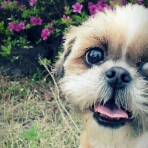 봉구 오랫만에 소식올려요~