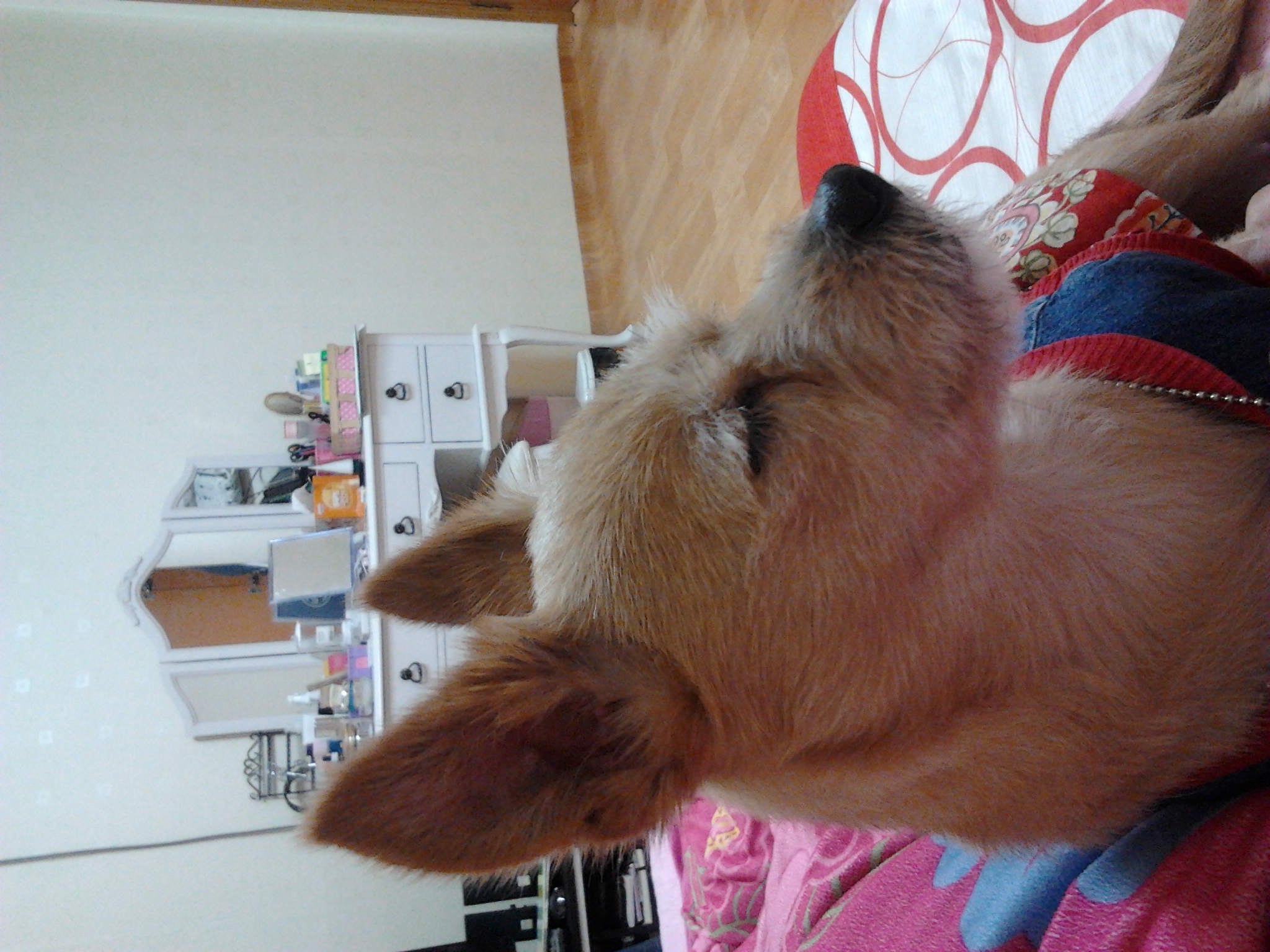 아름이 3박4일 체험기입니다^^