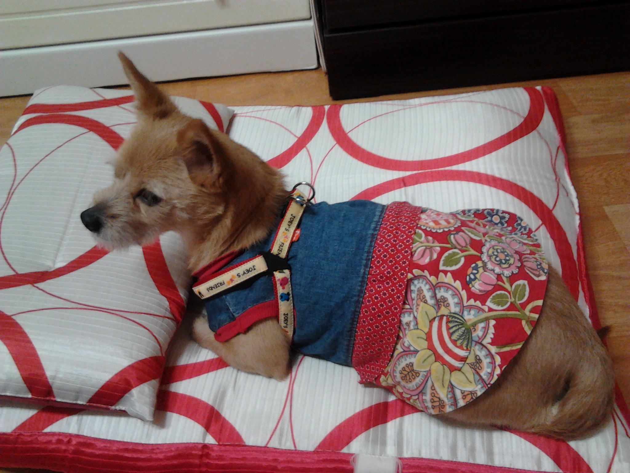 아름이 3박4일 체험기입니다^^