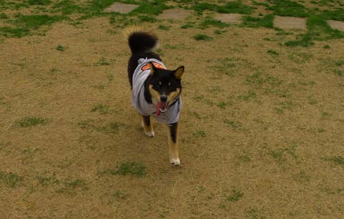 코코호두의 첫 입양의 날 참석 후기^^