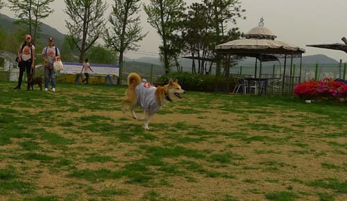 코코호두의 첫 입양의 날 참석 후기^^