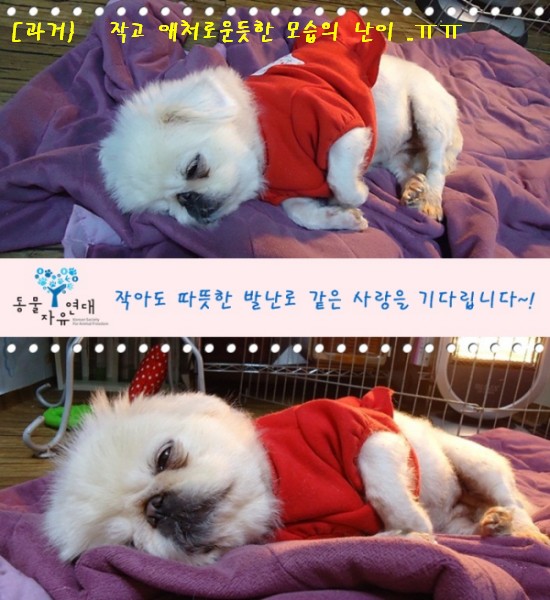 아침산책하는 난이가 &#46124;어요~