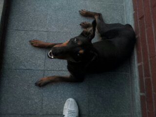 베르 일상 올려봅니다.