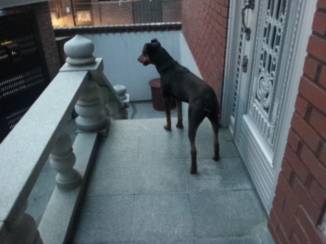 베르 일상 올려봅니다.