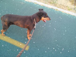 베르 일상 올려봅니다.