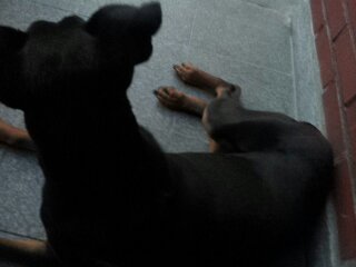 베르 일상 올려봅니다.