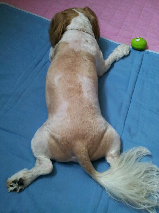 봉구사진보다가 울강세 피서법 공개~~~