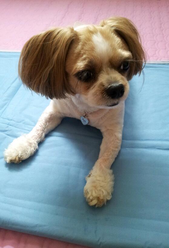 봉구사진보다가 울강세 피서법 공개~~~