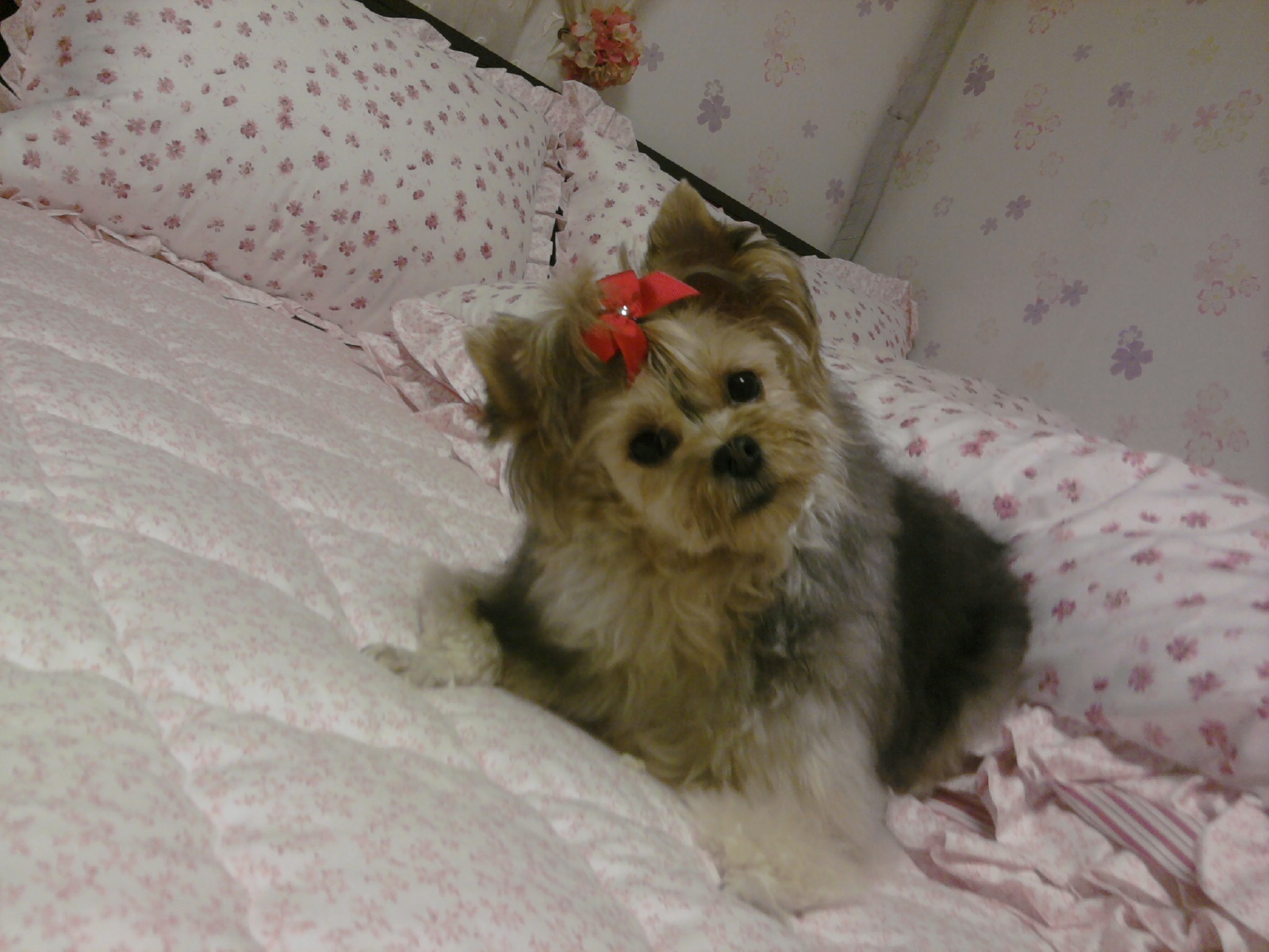 안녕하세요 지니엄마에요..