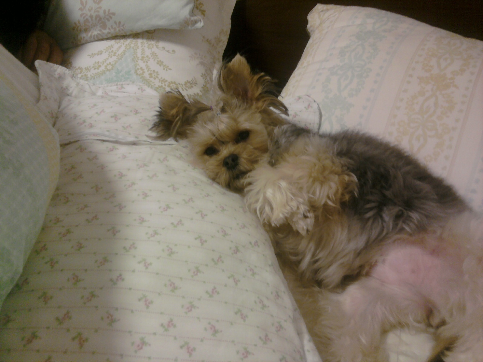 안녕하세요 지니엄마에요..