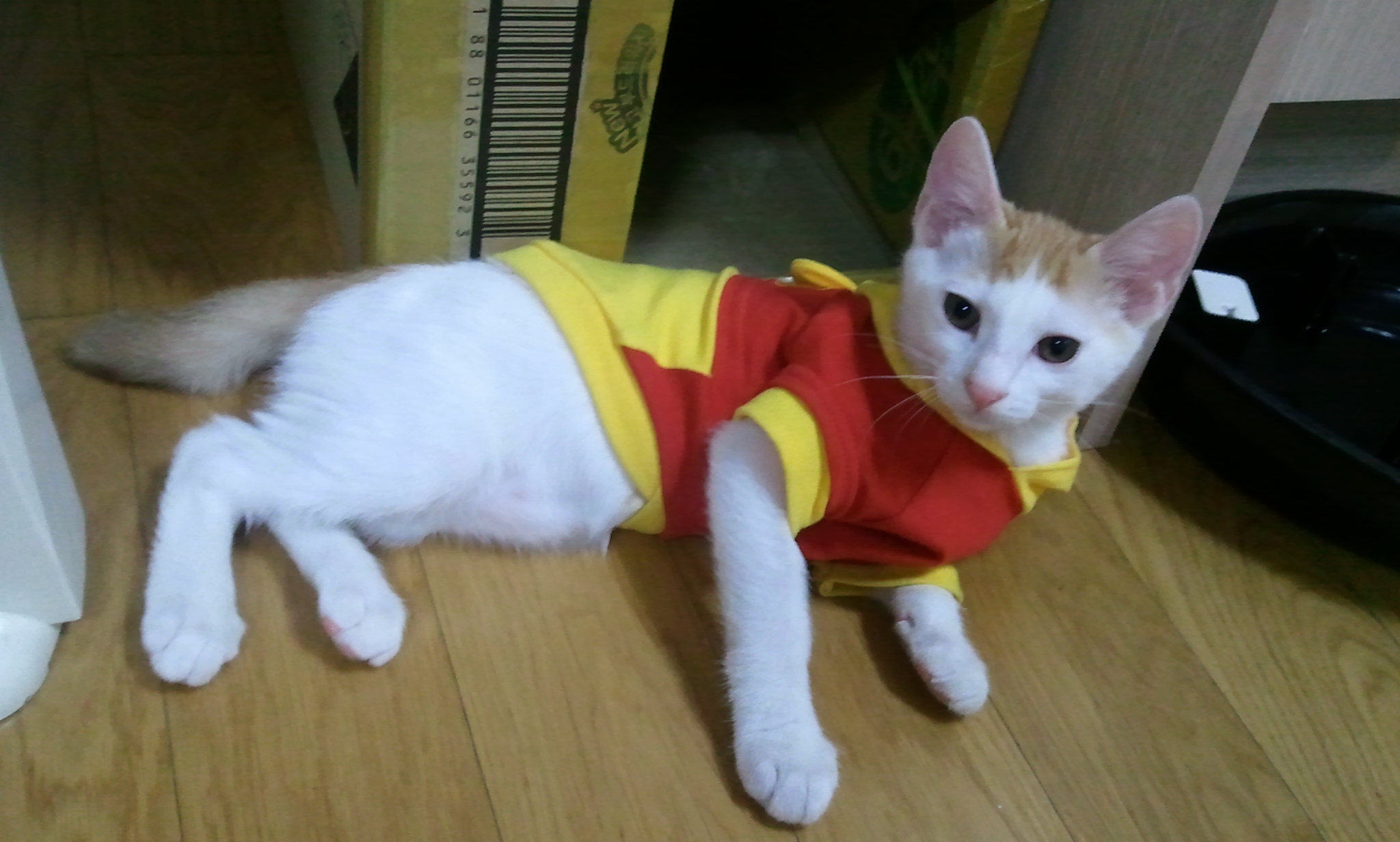 녹두의 패션감각..