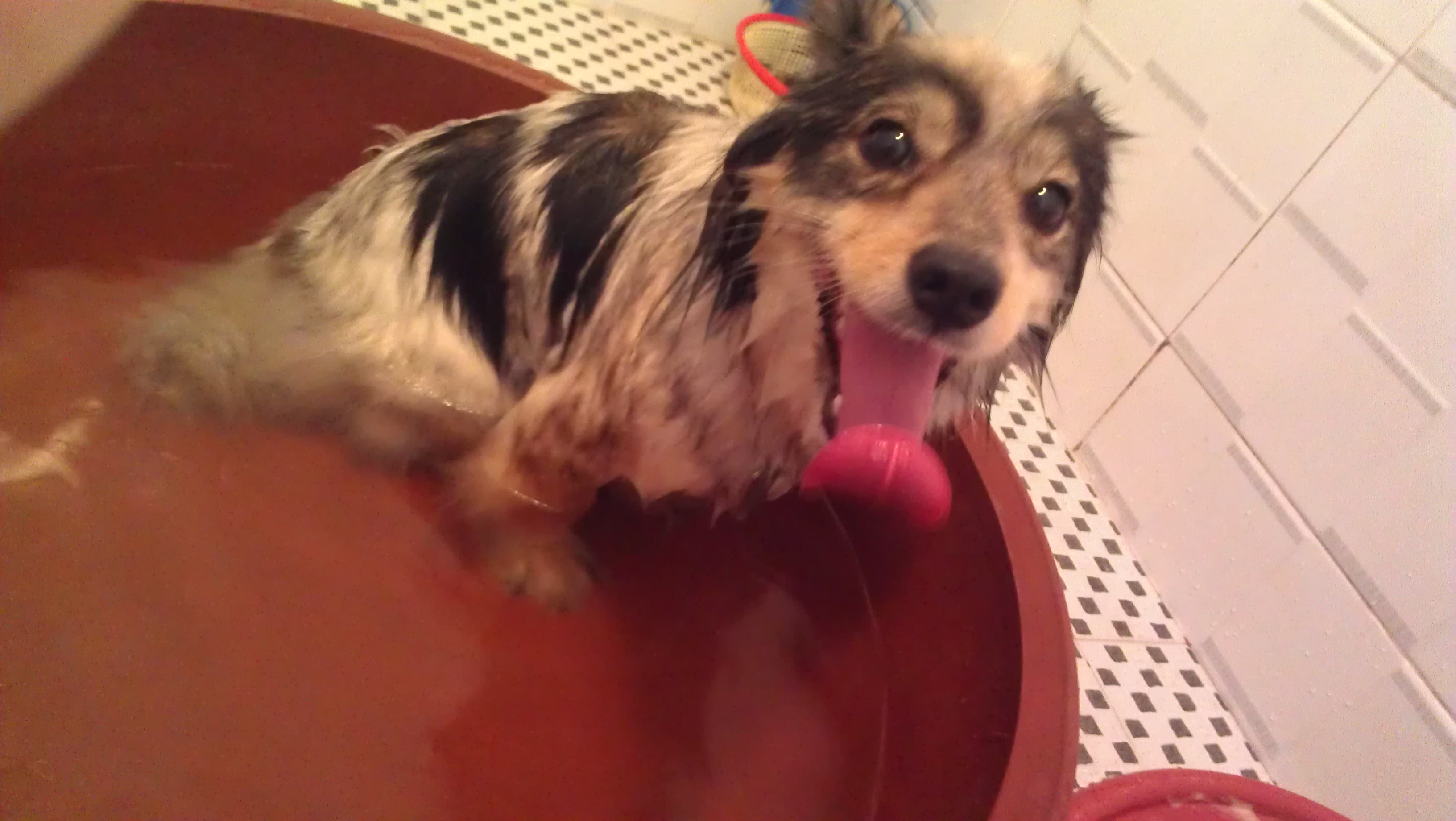 하이고 더워라ㅜㅜ