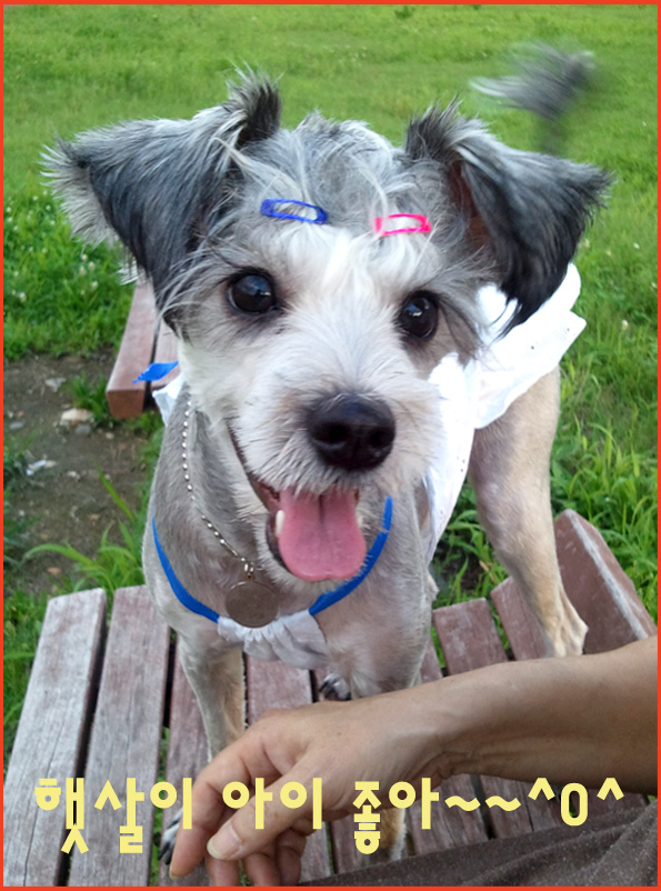 우리 햇살이 너무 보고싶으셨죠~~^^