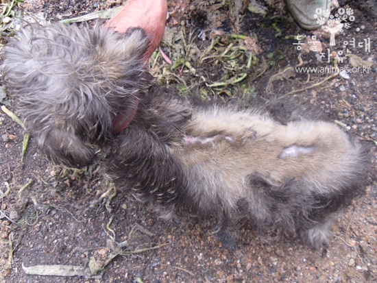 햇살이의 과거;;