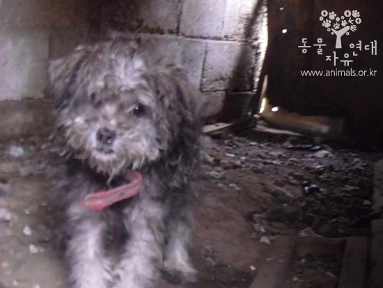 햇살이의 과거;;