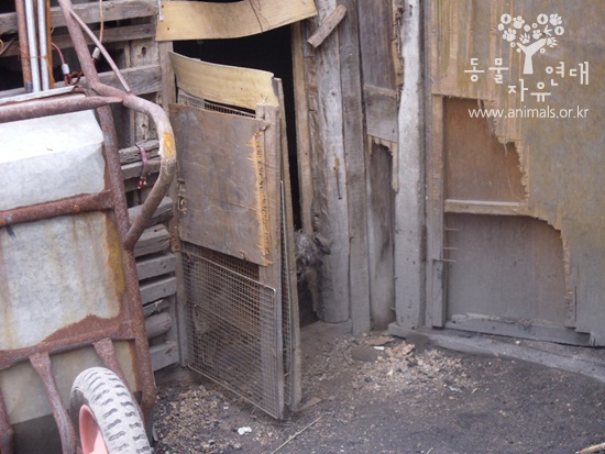 햇살이의 과거;;