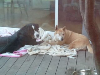 극복이 오랜만에 안부인사드려요~~^^