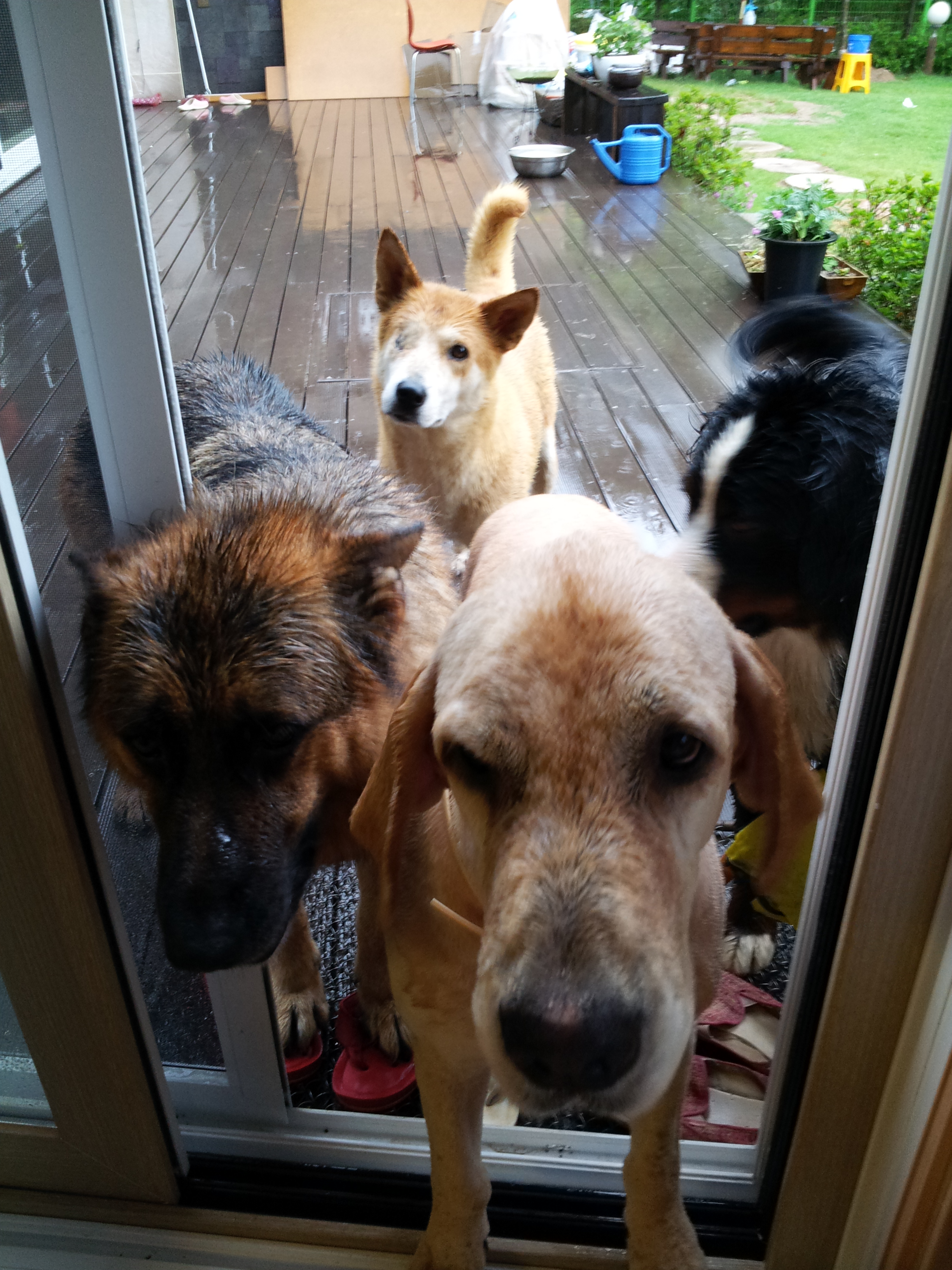 극복이 오랜만에 안부인사드려요~~^^