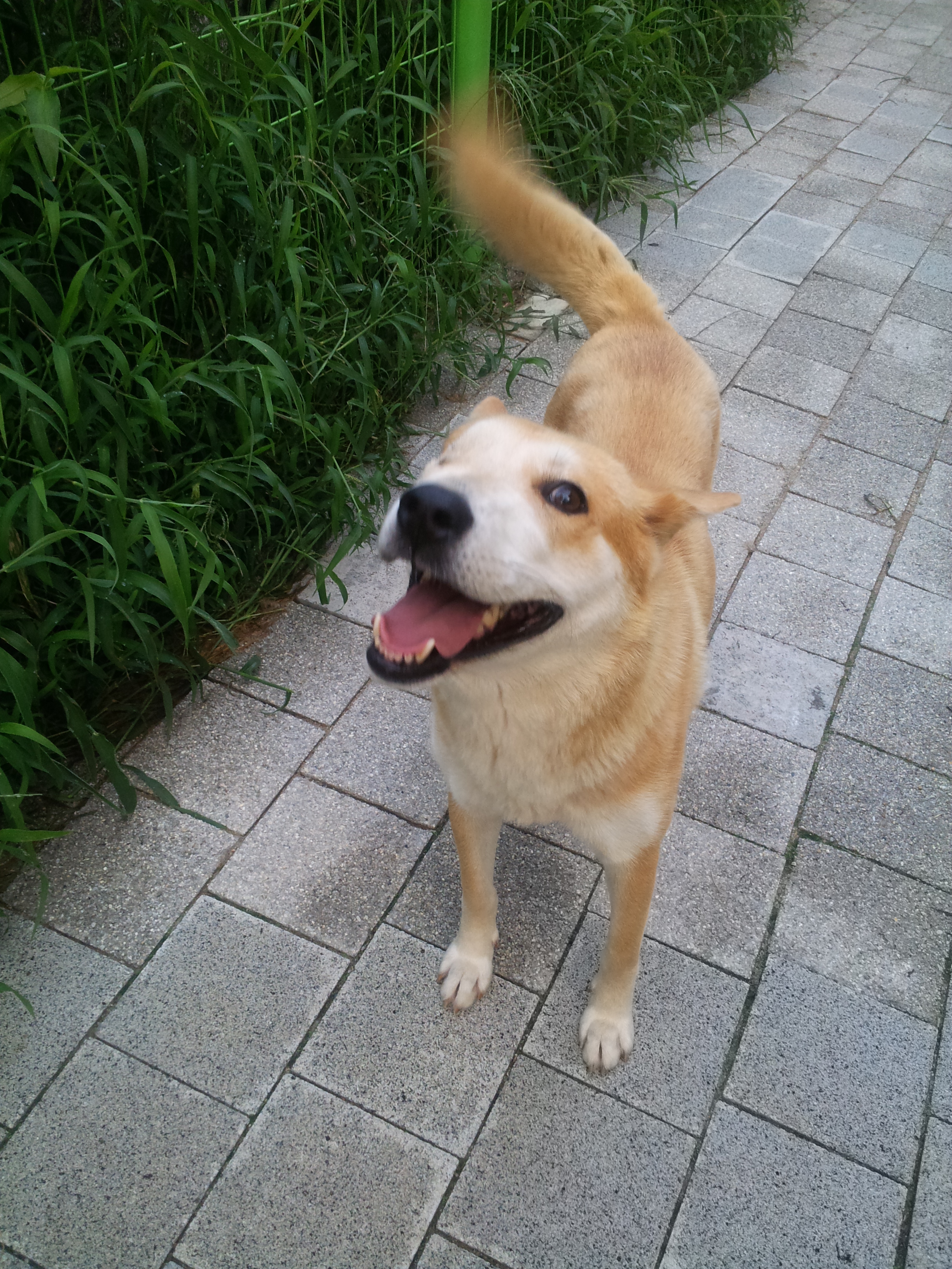 극복이 오랜만에 안부인사드려요~~^^