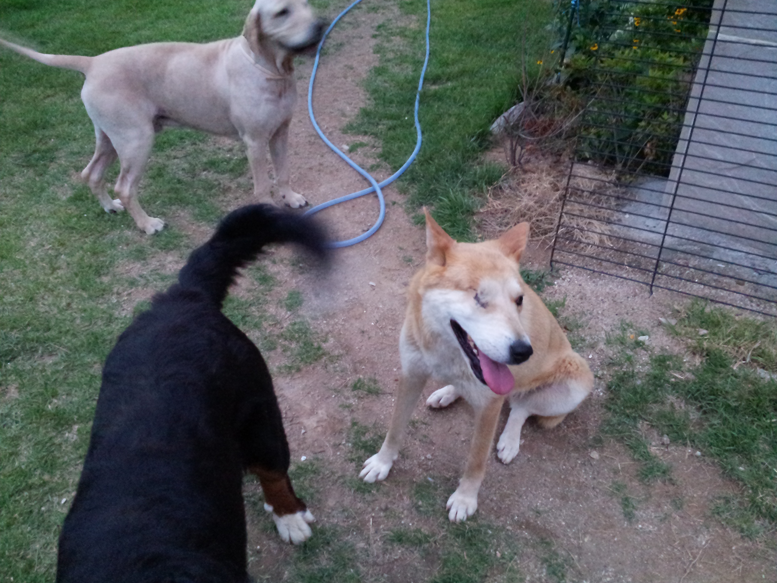 극복이 오랜만에 안부인사드려요~~^^