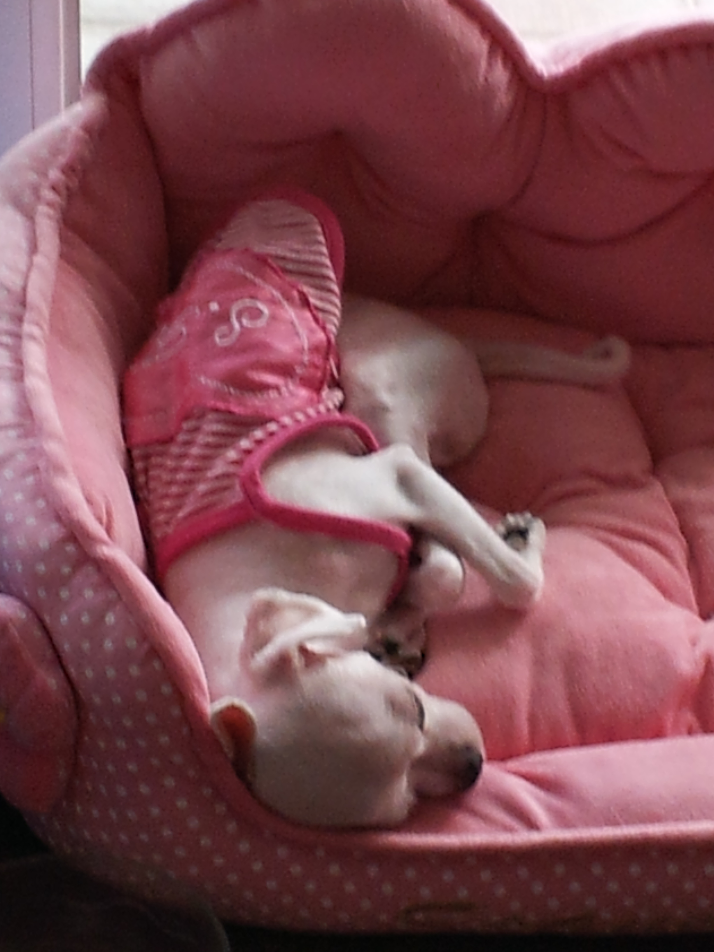 미용하고 한숨자요~~