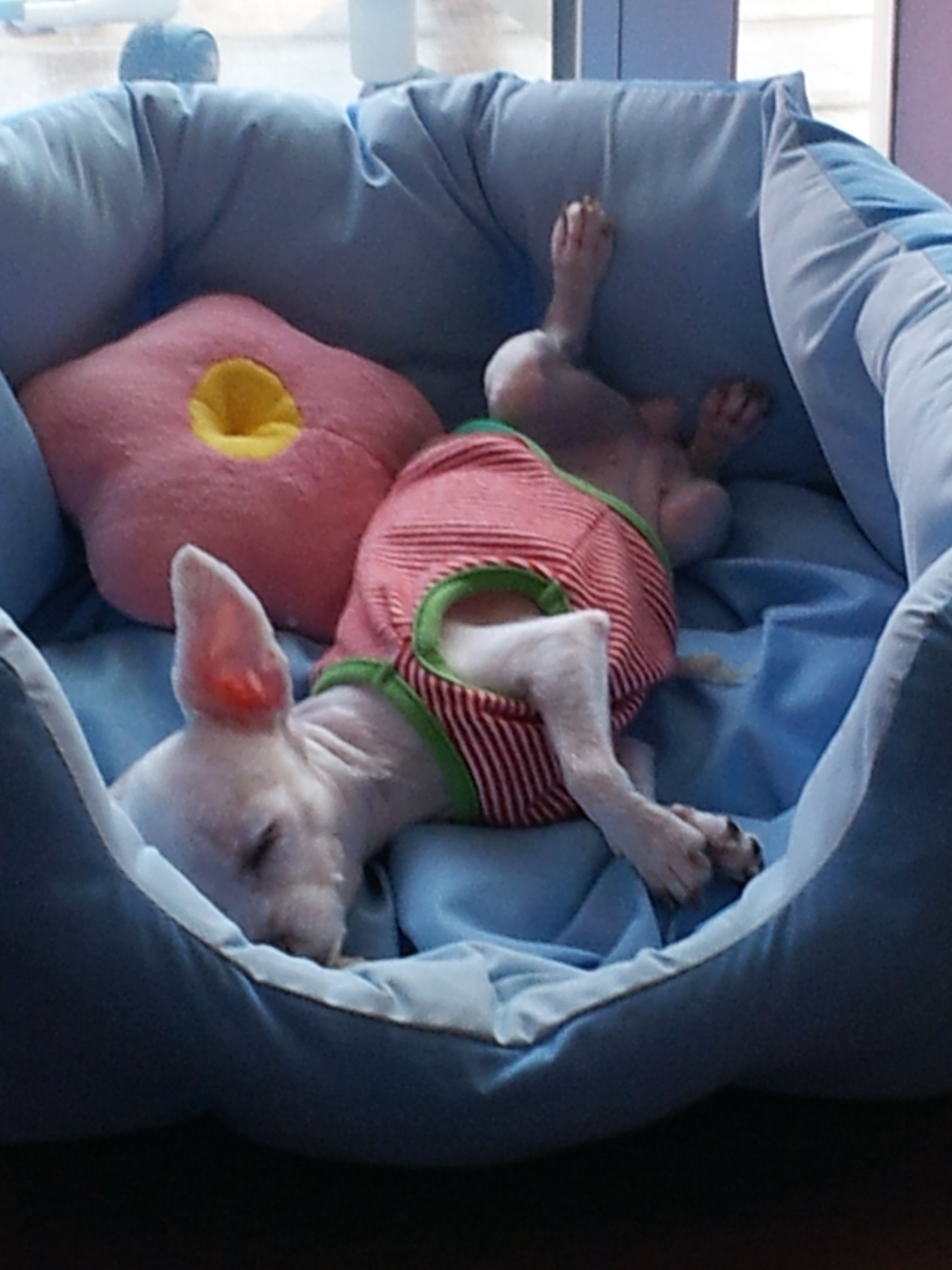 미용하고 한숨자요~~