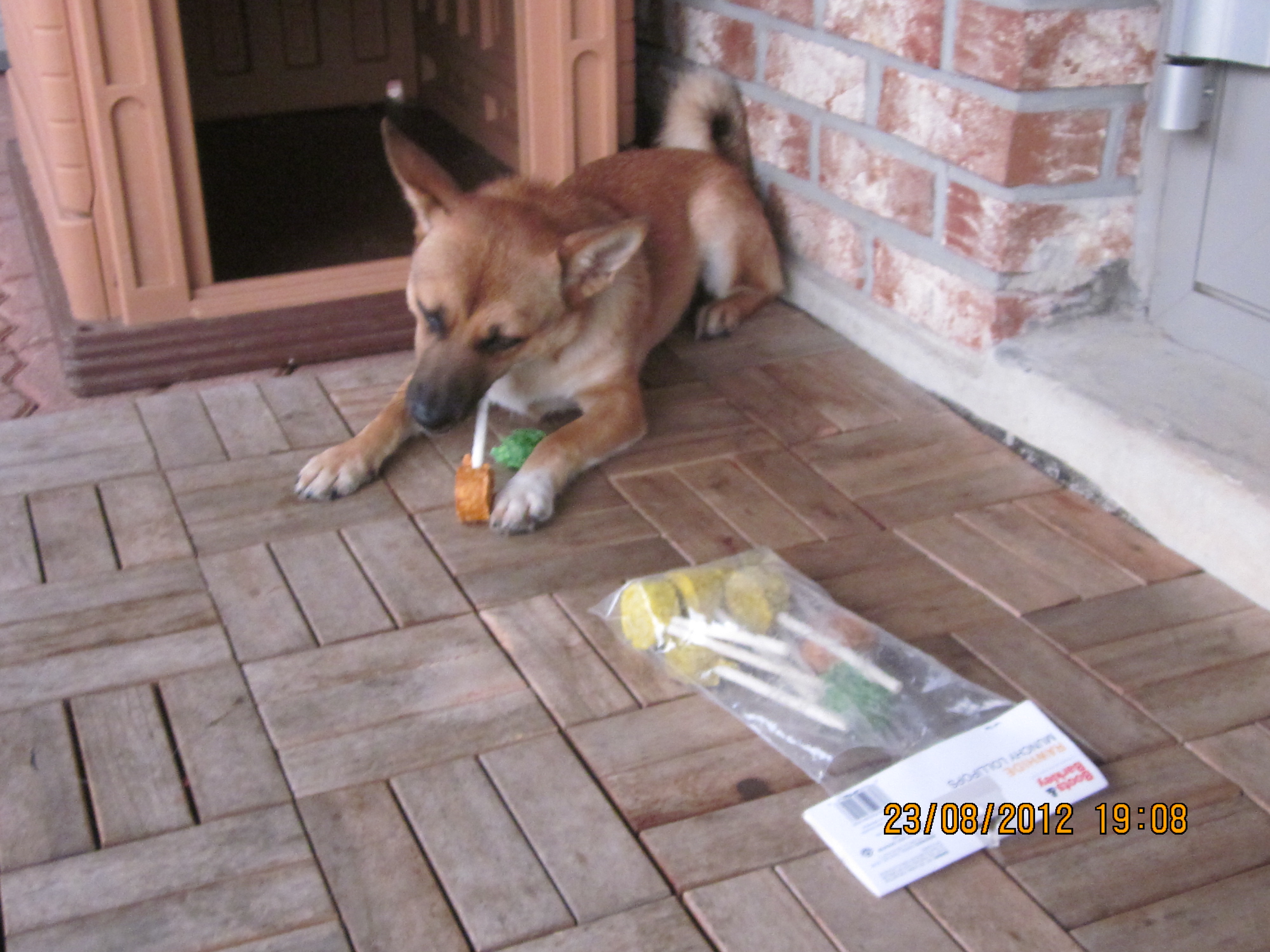 범이에게 주는 캐디 피<재료:닭고기: