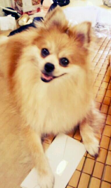 삼식이에요'▽'