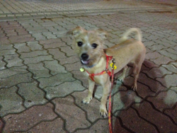 올만에 지지 사진!!