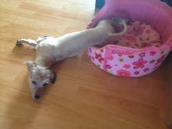 올만에 지지 사진!!