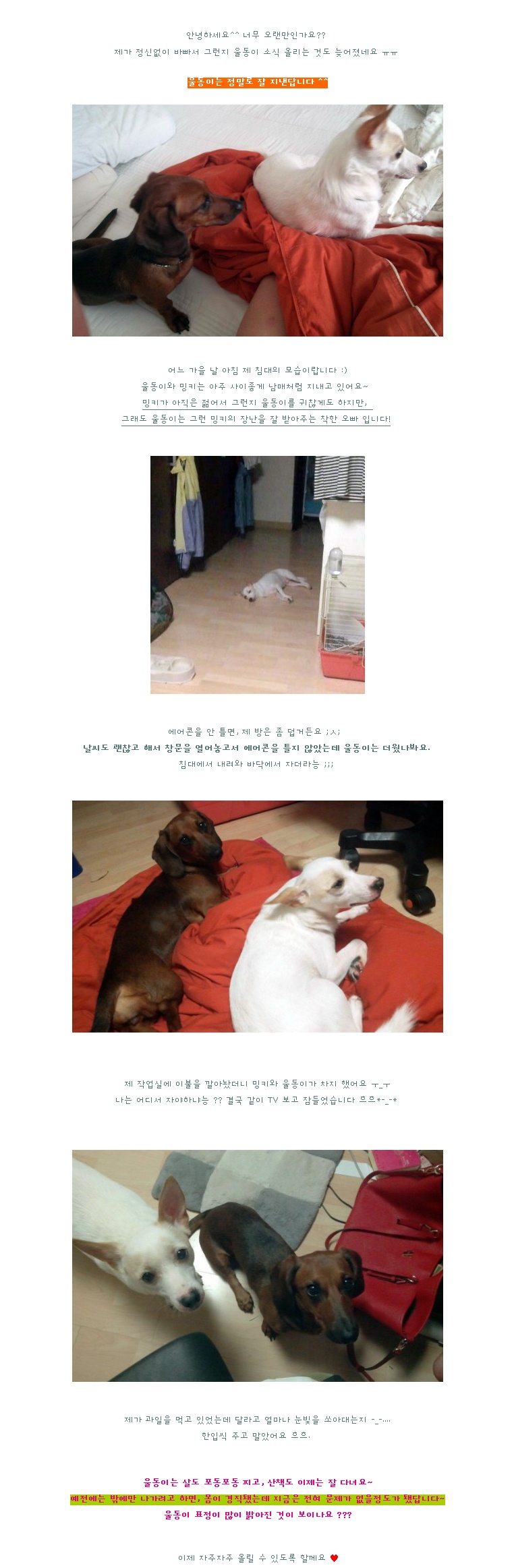 울동이 소식 올려요^^ 